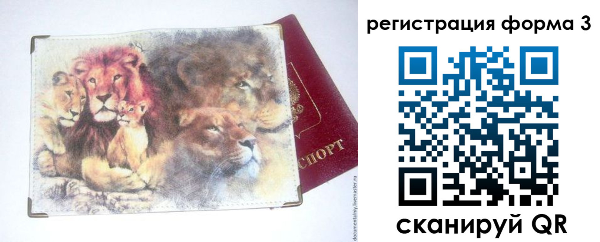 прописка в квартире в Лосино-Петровском